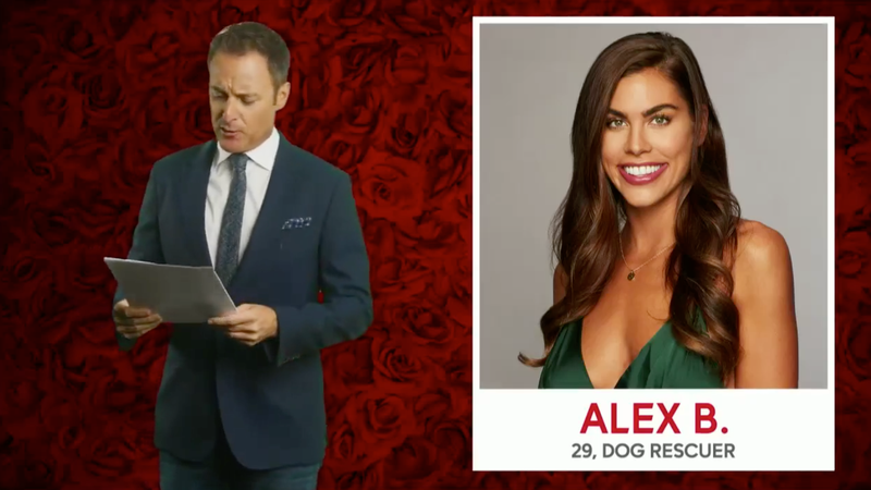 Illustration for article titled Colton Underwood's Bachelor Contestants: A 'Sloth,' a Villainous DJ, and Not a Single Lauren